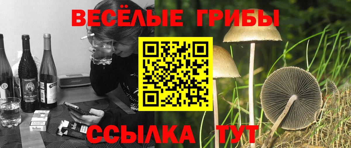 Псилоцибиновые грибы Magic Shrooms Урюпинск