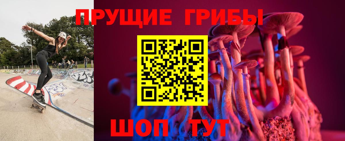 Псилоцибиновые грибы Cubensis  Вход с VPN  Галлюциногенные грибы Psilocybe  Урюпинск 